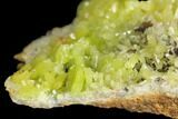 Vibrant Green Pyromorphite Crystal Cluster - China #147655-2